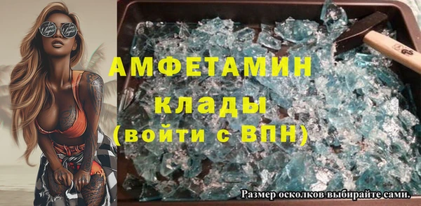 прущие грибы Балахна