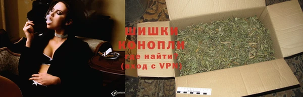 прущие грибы Балахна