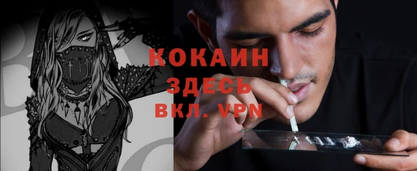 прущие грибы Балахна