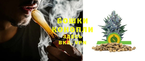 прущие грибы Балахна