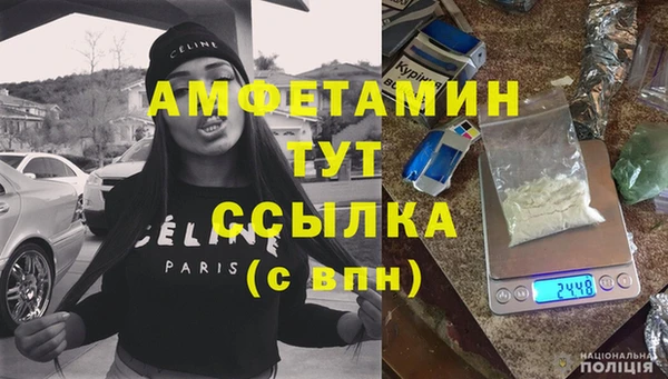 прущие грибы Балахна