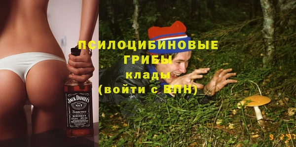 прущие грибы Балахна