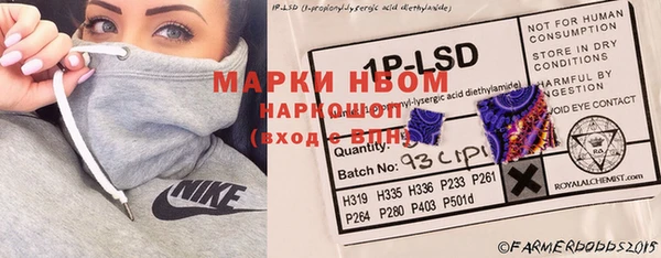 прущие грибы Балахна