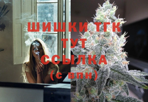 прущие грибы Балахна