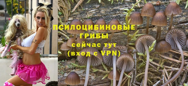 прущие грибы Балахна